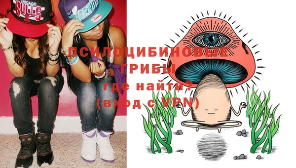 дурь Алексеевка