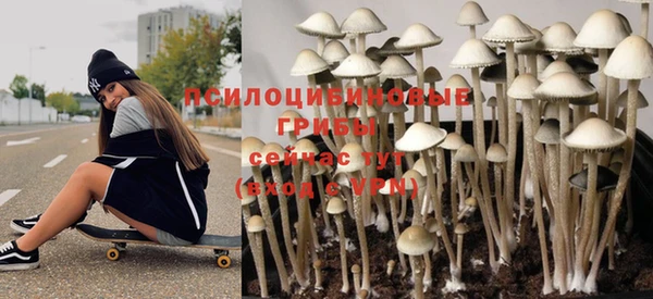дурь Алексеевка