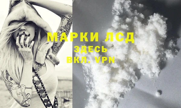 ГАЛЛЮЦИНОГЕННЫЕ ГРИБЫ Абаза