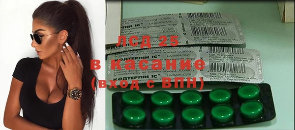 ГАЛЛЮЦИНОГЕННЫЕ ГРИБЫ Абаза